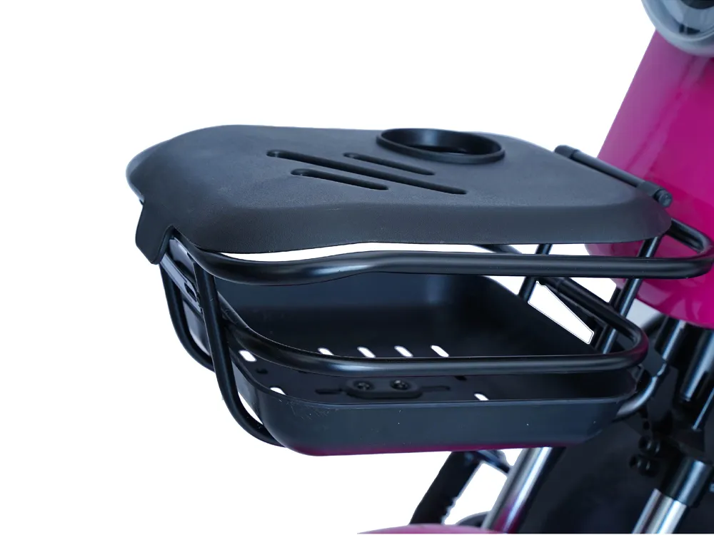 Close-up of the storage basket on an electric tricycle, featuring a sturdy metal frame and spacious design for carrying groceries and daily items
