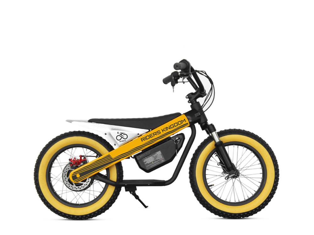 Electric Bicycle