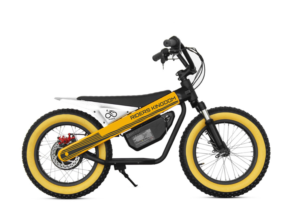 Electric Bicycle