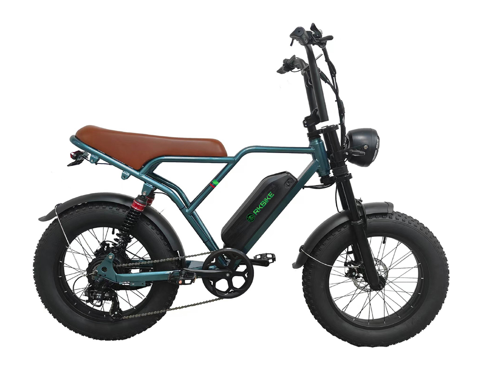 Electric bicycle